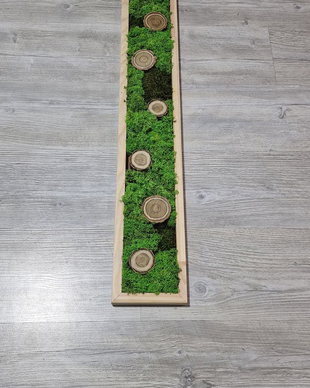 Tablou licheni naturali si stabilizati, licheni decorativi