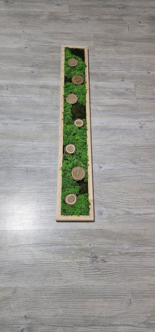 Tablou licheni naturali si stabilizati, licheni decorativi