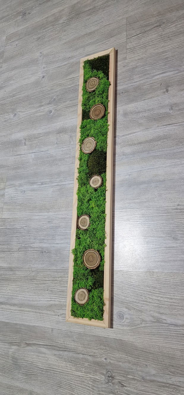 Tablou licheni naturali si stabilizati, licheni decorativi