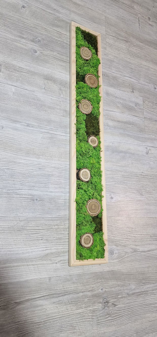 Tablou licheni naturali si stabilizati, licheni decorativi