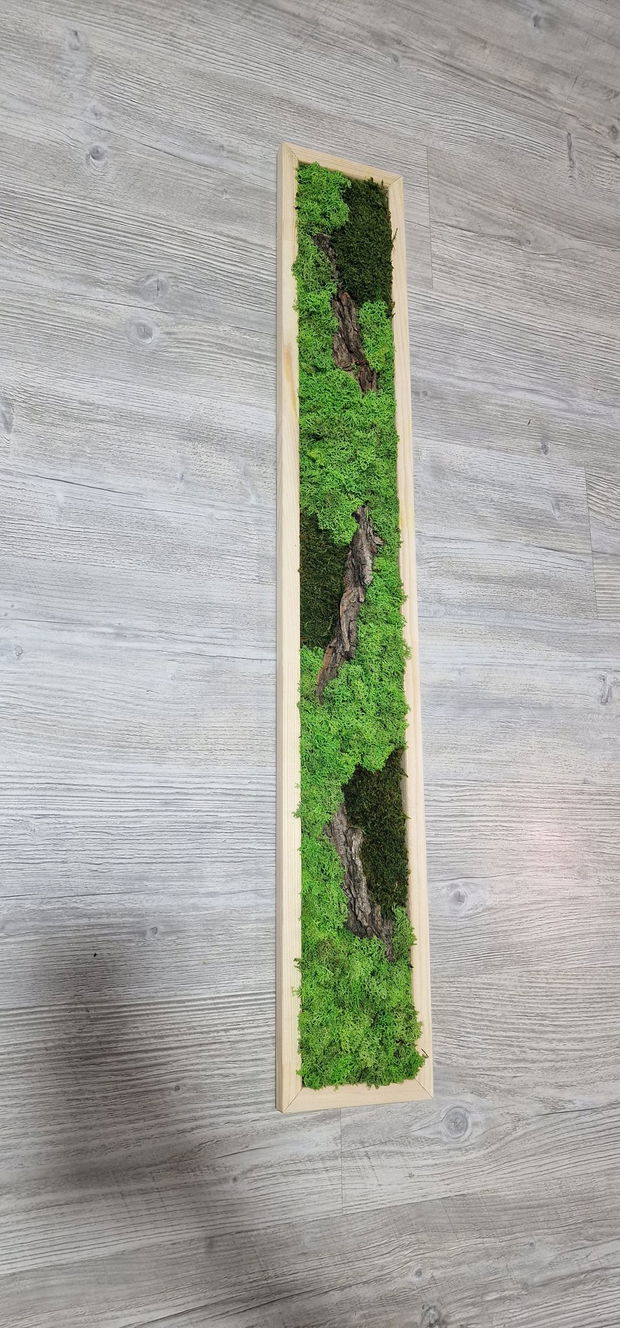 Tablou licheni naturali si stabilizati, licheni decorativi