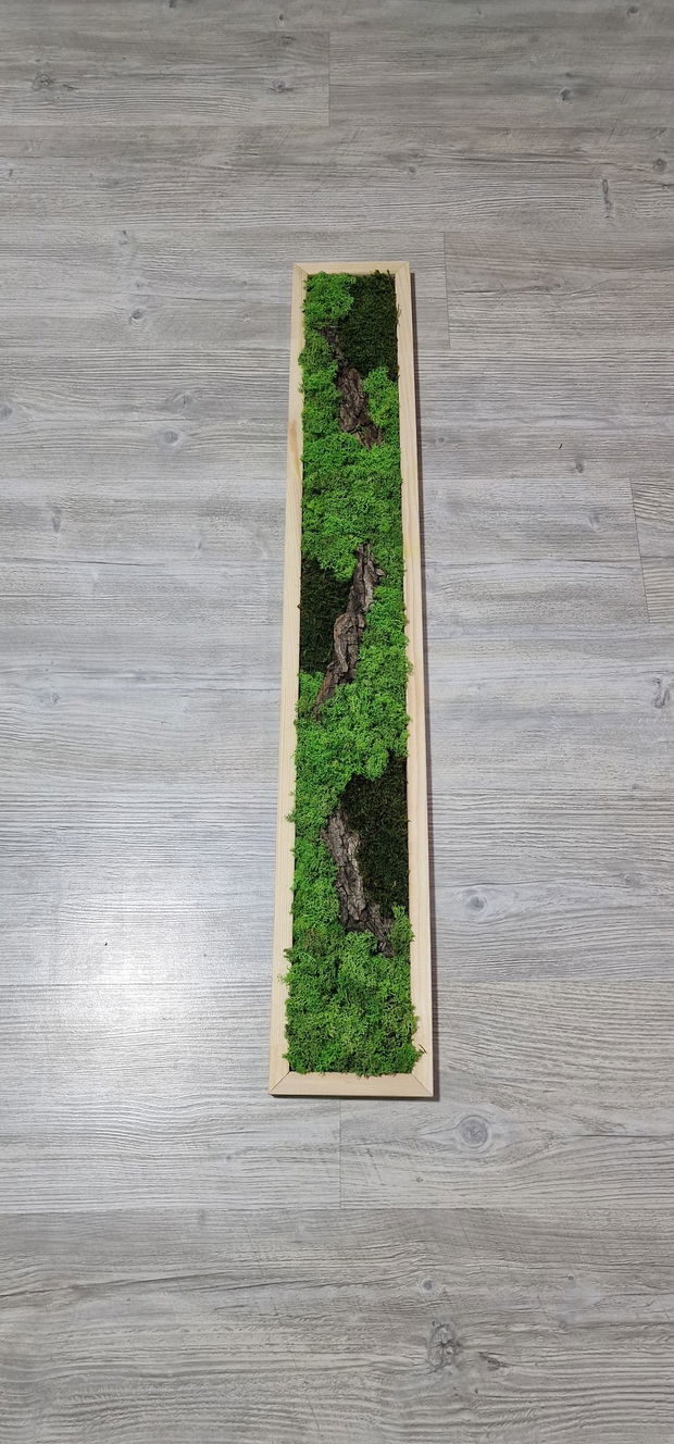 Tablou licheni naturali si stabilizati, licheni decorativi