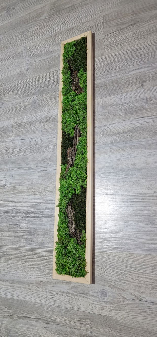 Tablou licheni naturali si stabilizati, licheni decorativi