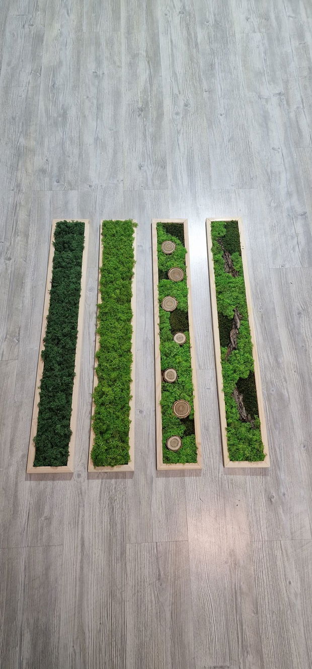 Tablou licheni naturali si stabilizati, licheni decorativi