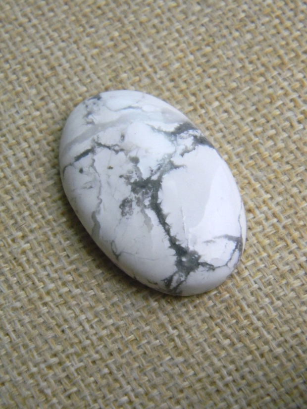 Caboson opal dendritic (F45-1)