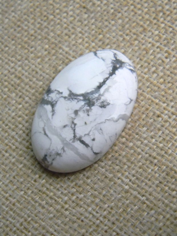 Caboson opal dendritic (F45-1)