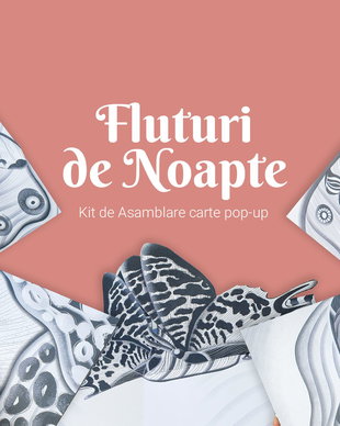 Kit de asamblare carte pop-up - Fluturi de Noapte