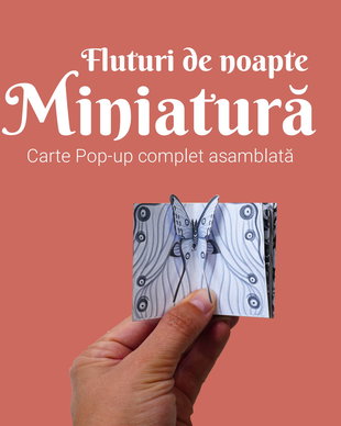 Miniatură cu Fluturi Alb Negru