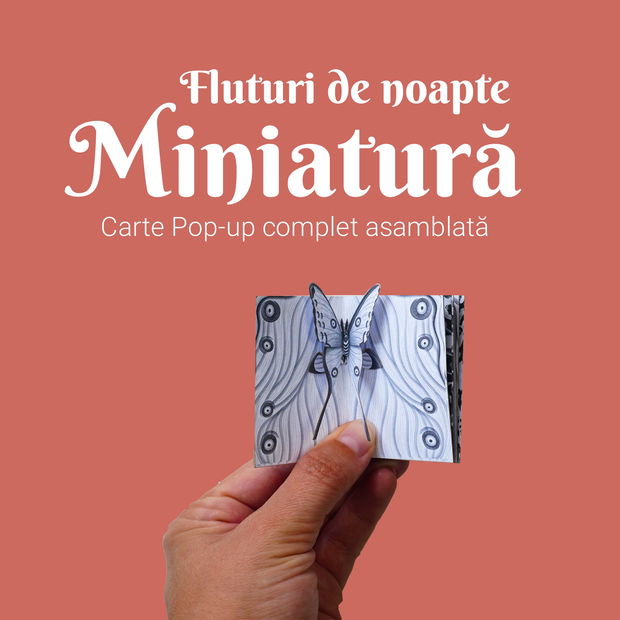 Miniatură cu Fluturi Alb Negru