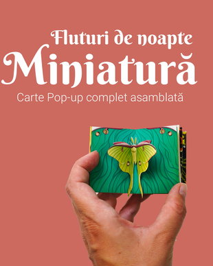 Miniatură cu Fluturi de Noapte
