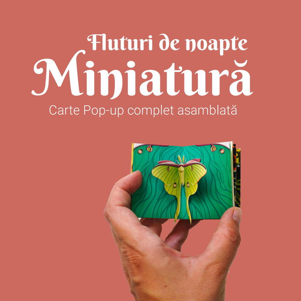 Miniatură cu Fluturi de Noapte