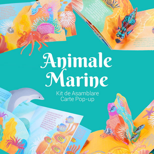 Kit de asamblare carte pop-up pentru copii - Animale Marine