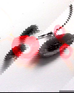 set cu maci din rasina 46663