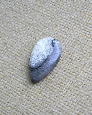 Caboson opal dendritic (F47-1)