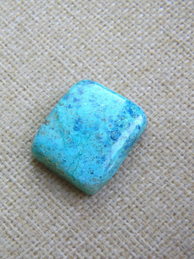 Caboson chrysocolla (F40-3)