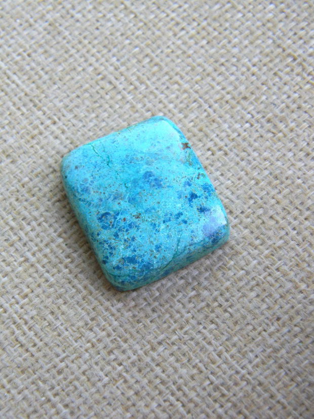 Caboson chrysocolla (F40-3)