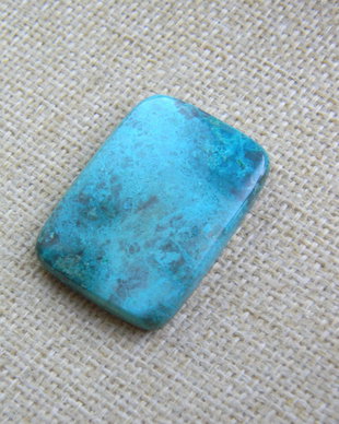 Caboson chrysocolla (F40-3)