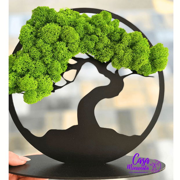 Bonsai decorat cu licheni