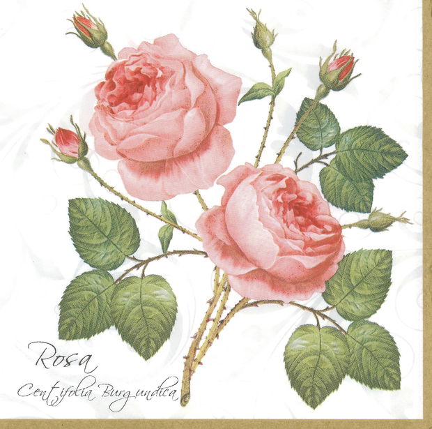 Servetel decorativ Rosa 33 x 33 cm- 0036