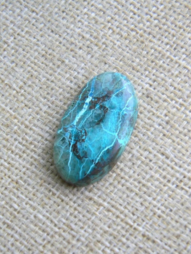 Caboson chrysocolla (F46-3)