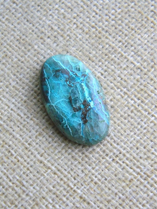 Caboson chrysocolla (F46-3)