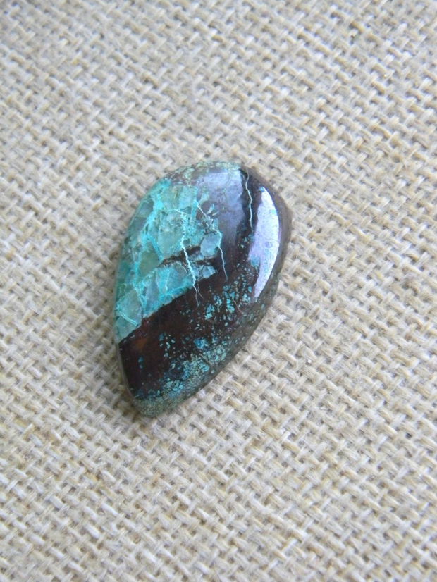 Caboson chrysocolla (F46-3)