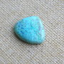 Caboson chrysocolla (F46-3)