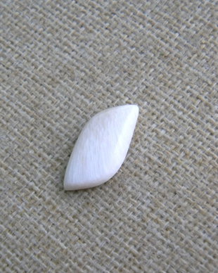 Caboson scolecit (F41-1)