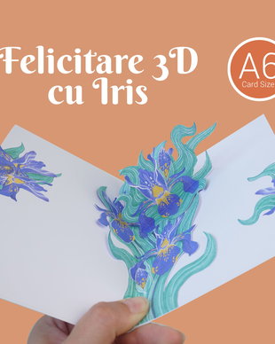 Felicitare 3D cu Iris