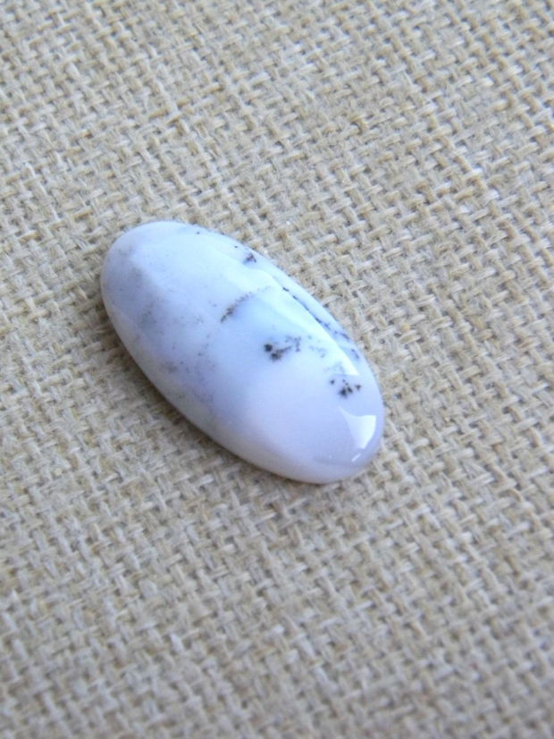 Caboson opal dendritic (C44)