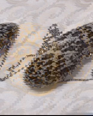 Nou/poseta de colectie/inima