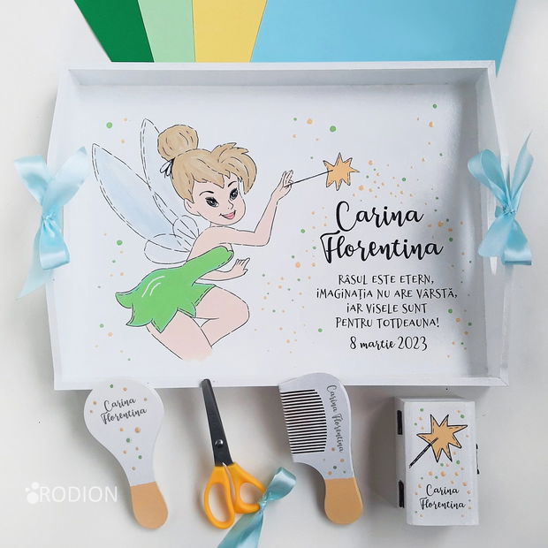 Tava turta Tinkerbell pictata manual personalizata cu nume