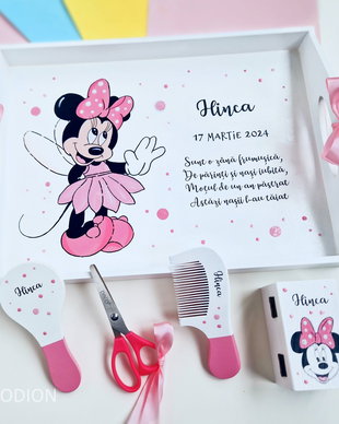 Tava taierea motului Minnie Mouse, pictata manual personalizata, set turta