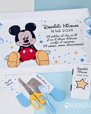 Tava taierea motului Mickey Mouse pictata manual personalizata, set prima aniversare