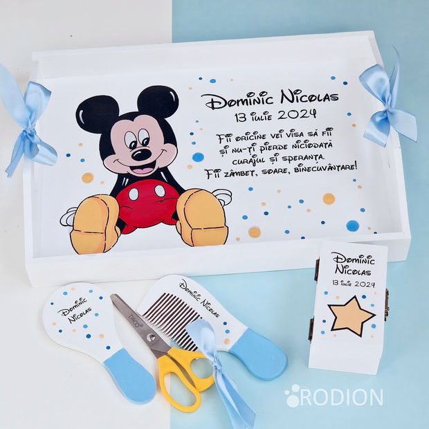 Tava taierea motului Mickey Mouse pictata manual personalizata