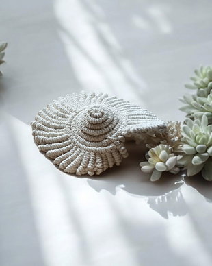 Scoică nautilus macrame