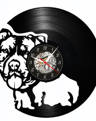 PITBULL- ceas de perete
