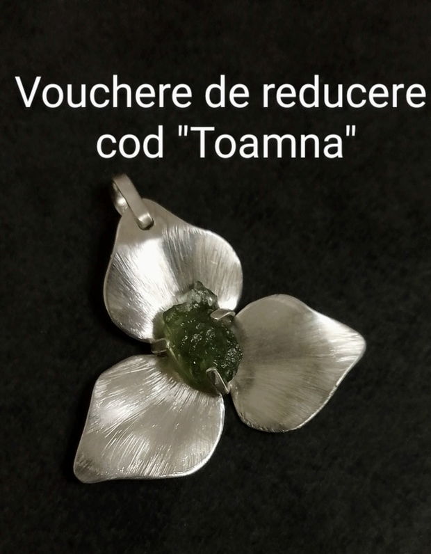 Vouchere de reducere