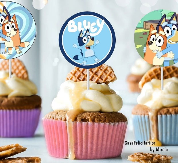 Toppere Bluey/Propsuri Bluey