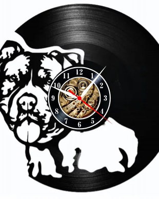 PITBULL- ceas de perete