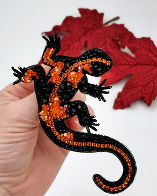 Rezervat Brosa - Salamandra de Foc