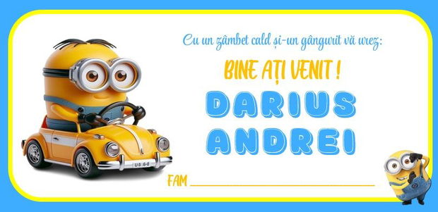 Plic de bani botez Minion