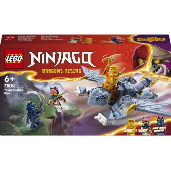 Lego Ninjago - Tanarul Dragon Riyu