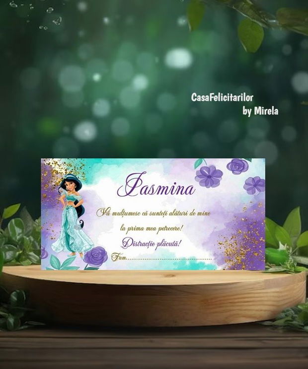 Plicuri de bani Printesa Jasmin