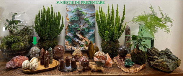 Jasp Oceanic - Ciuperca piatra semipretioasa