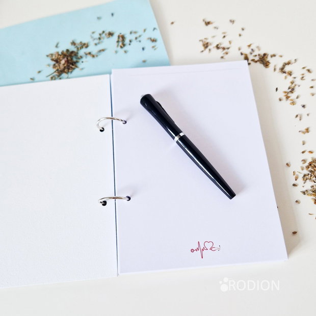 Agenda medic personalizata cu nume pictata manual