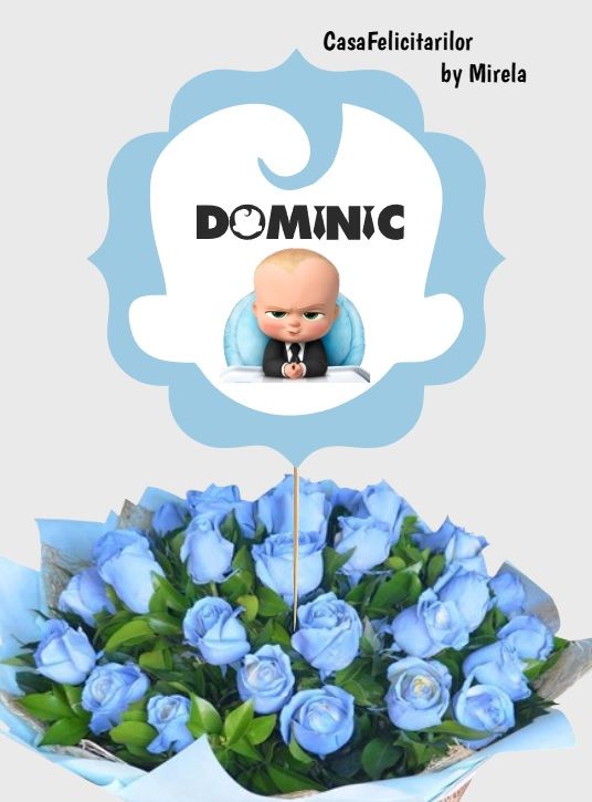 Decoratiune Baby boss personalizata