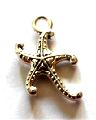 Charm metalic stea  de mare model argintiu