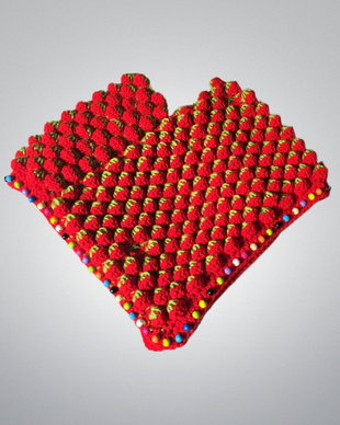 Poncho capsuni 3D