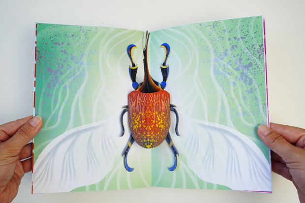 Insecte - Carte Pop-up/3D